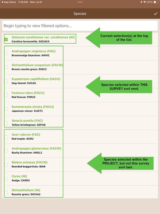 taxon search improvements 1