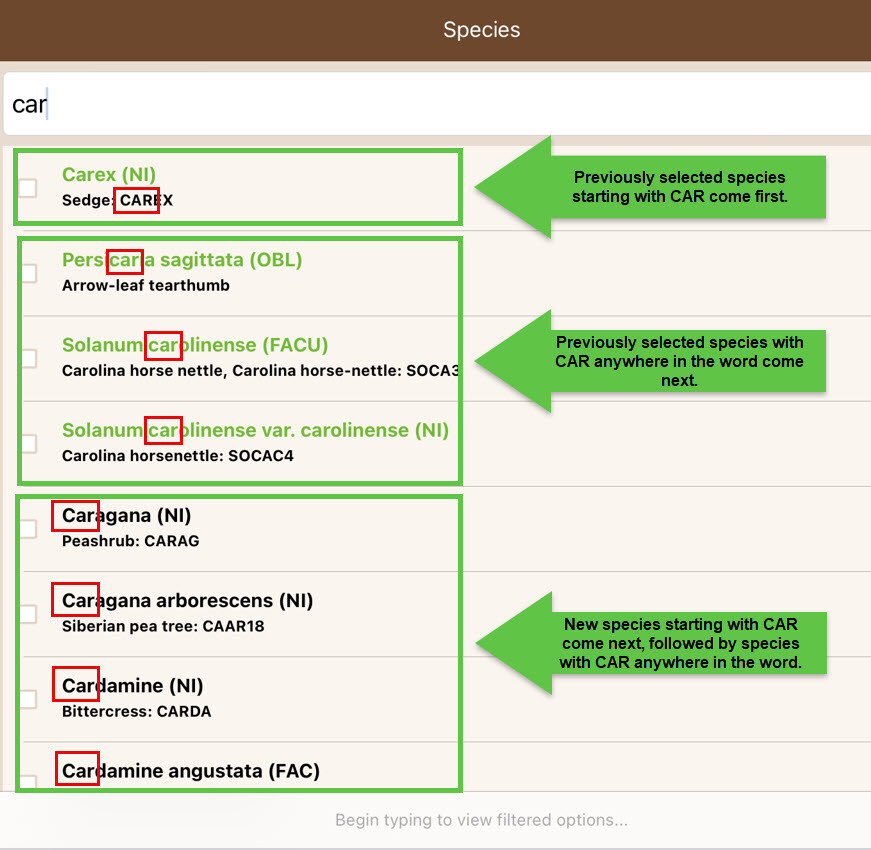 taxon search improvements 2-1