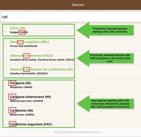 taxon search improvements 2-1
